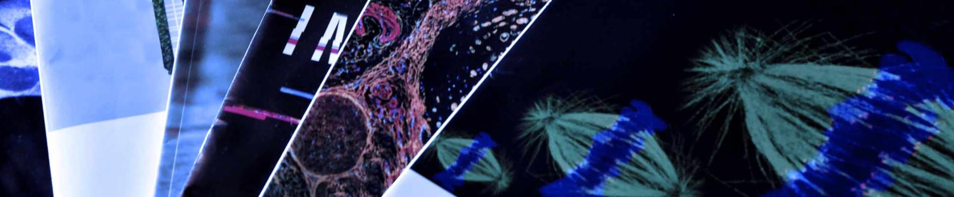 Publicações científicas